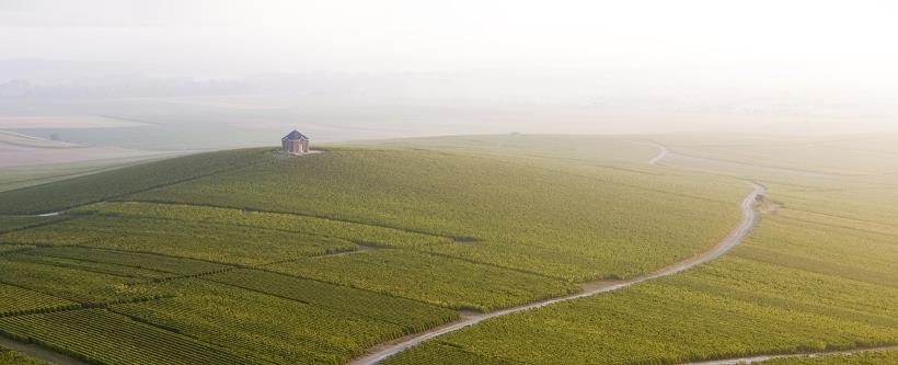 Abundant-nature_fixed_1280x520
