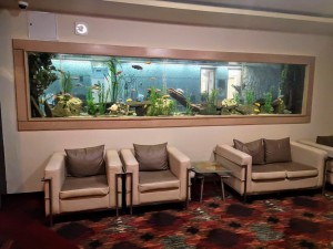 IMG_20200126_102122