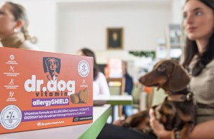 dr-dog-sajtoesemeny 1